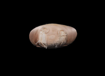 Close-up of the toe of a fraying pink pointe shoe