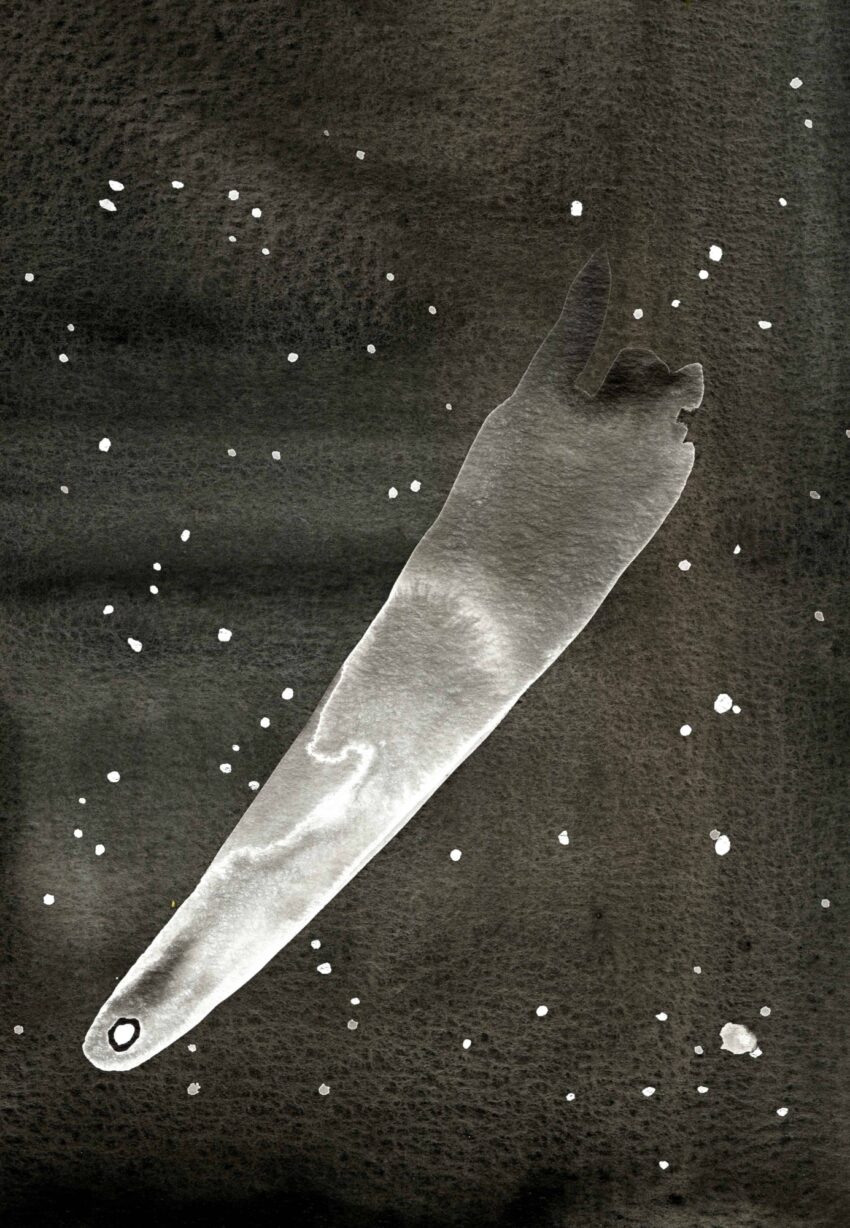 Comet in black and white