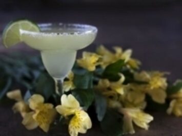 An image of a margarita.